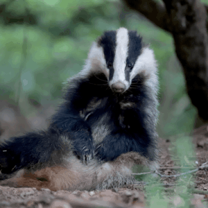 L'ami - 60 x 40 cm - aluminium